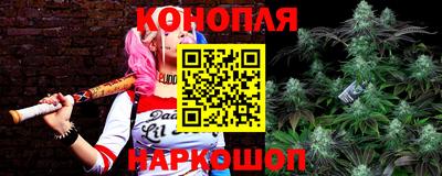 бошки Сланцы