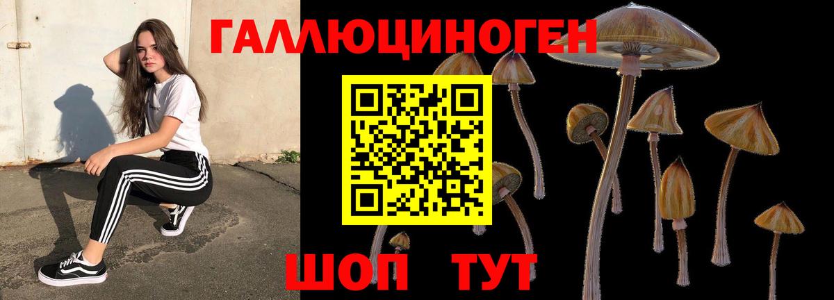 Псилоцибиновые грибы ЛСД Анжеро-Судженск