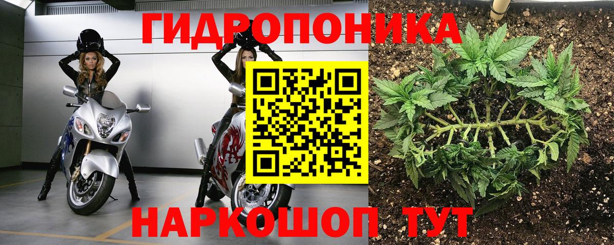 Конопля White Widow  Конопля гибрид  Анжеро-Судженск  Конопля THC 21%  Бошки марихуана MAZAR  Вход с VPN 