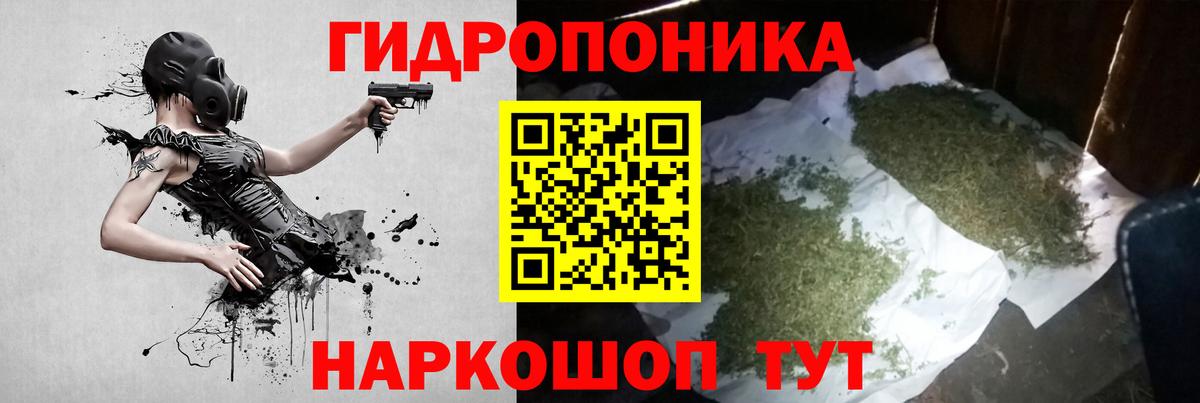 Каннабис индика Анжеро-Судженск